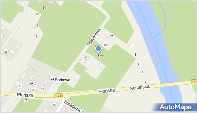 Borkowo, Spacerowa, 8, mapa Borkowo