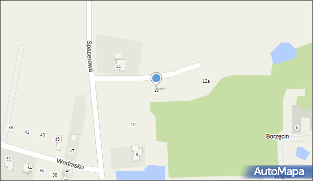 Borzęcin Duży, Spacerowa, 12, mapa Borzęcin Duży