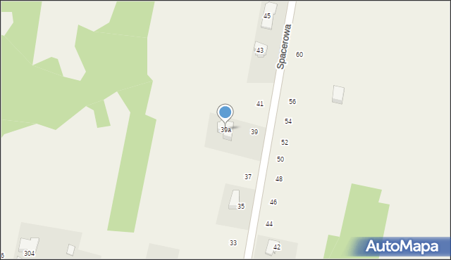 Borzęcin Duży, Spacerowa, 39a, mapa Borzęcin Duży