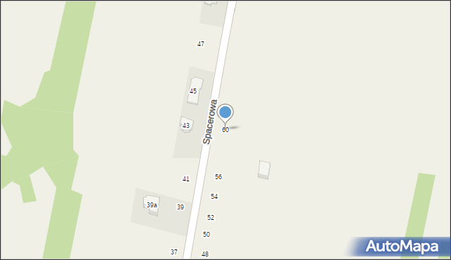 Borzęcin Duży, Spacerowa, 72, mapa Borzęcin Duży