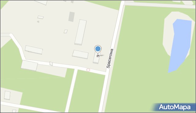 Borzęcin Duży, Spacerowa, 85, mapa Borzęcin Duży