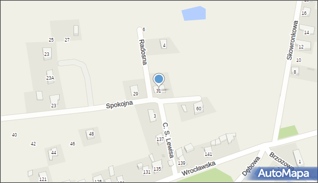 Chrząstawa Wielka, Spokojna, 31, mapa Chrząstawa Wielka