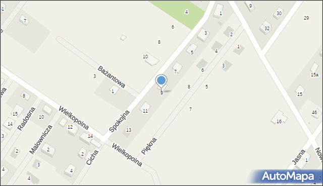 Dobroszyce, Spokojna, 9, mapa Dobroszyce