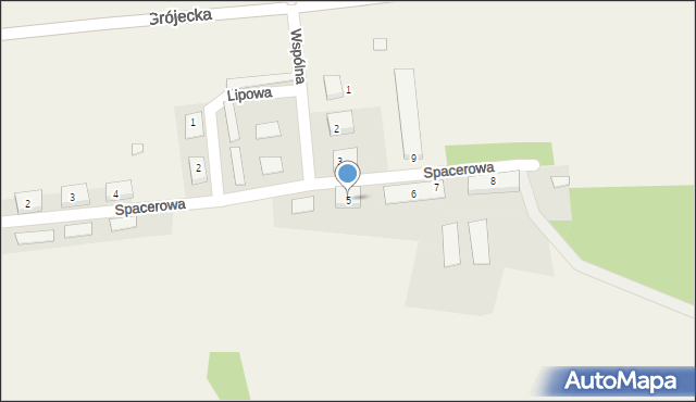 Drwalew, Spacerowa, 5, mapa Drwalew