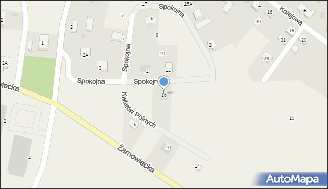 Goszczyno, Spokojna, 16, mapa Goszczyno