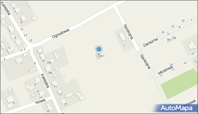 Grodzisko, Spokojna, 10, mapa Grodzisko