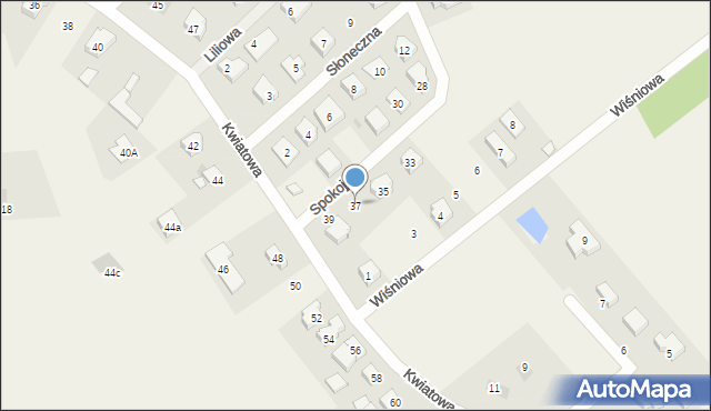 Kokoszkowy, Spokojna, 37, mapa Kokoszkowy