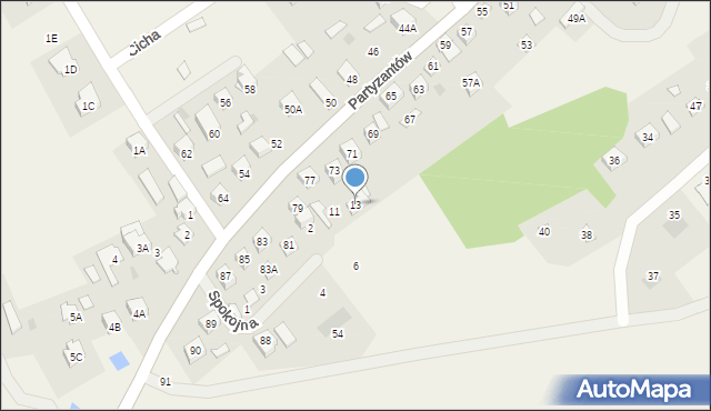 Leoncin, Spokojna, 13, mapa Leoncin
