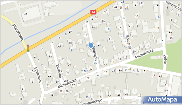 Łowicz, Spokojna, 3, mapa Łowicza