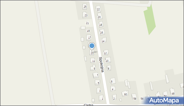 Michów, Spokojna, 13, mapa Michów