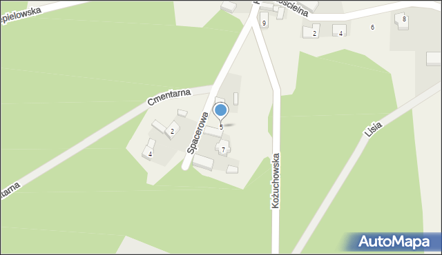 Nowe Żabno, Spacerowa, 5, mapa Nowe Żabno