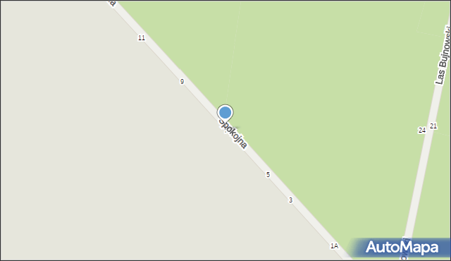 Piotrków Trybunalski, Spokojna, 7, mapa Piotrków Trybunalski