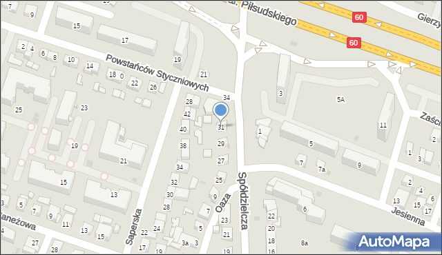 Płock, Spółdzielcza, 31, mapa Płock