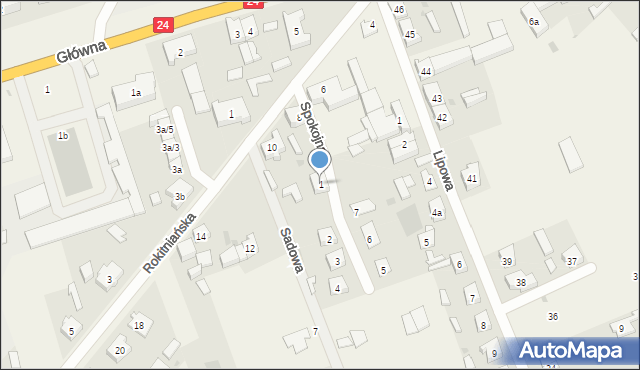 Przytoczna, Spokojna, 1, mapa Przytoczna