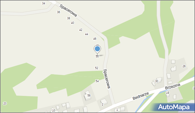 Rybna, Spacerowa, 50, mapa Rybna