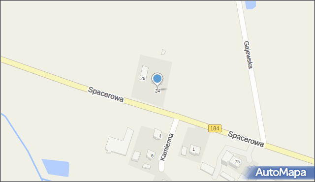 Śmiłowo, Spacerowa, 24, mapa Śmiłowo