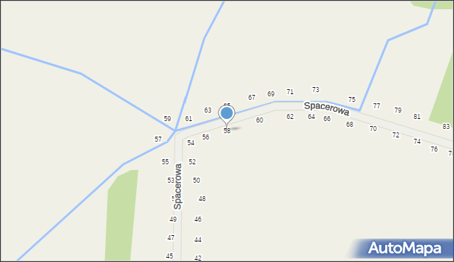 Tomaszowice, Spacerowa, 58, mapa Tomaszowice