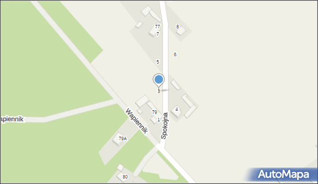 Wapiennik, Spokojna, 3, mapa Wapiennik