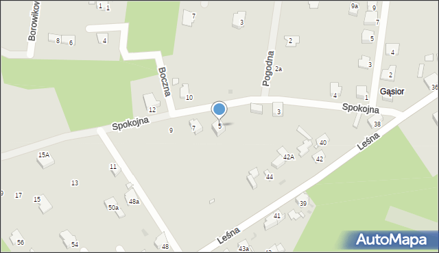 Wołów, Spokojna, 5, mapa Wołów