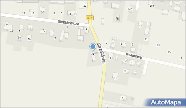 Borek Strzeliński, Strzelińska, 24, mapa Borek Strzeliński