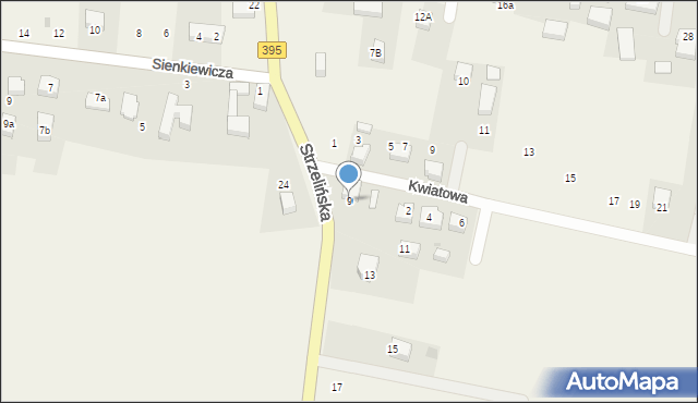 Borek Strzeliński, Strzelińska, 9, mapa Borek Strzeliński