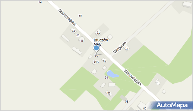 Brudzów, Starowiejska, 50, mapa Brudzów