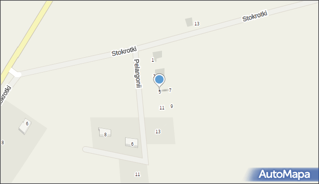 Czapielsk, Stokrotki, 5, mapa Czapielsk