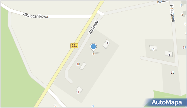 Czapielsk, Stokrotki, 8, mapa Czapielsk