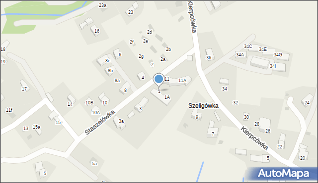 Kościelisko, Staszelówka, 1, mapa Kościelisko