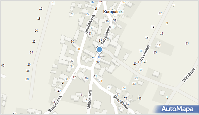 Kuropatnik, Strzelińska, 67, mapa Kuropatnik