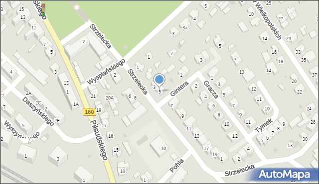 Międzychód, Strzelecka, 5, mapa Międzychód