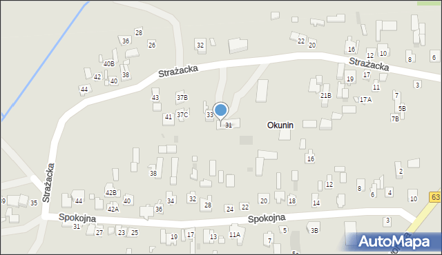 Nowy Dwór Mazowiecki, Strażacka, 31A, mapa Nowy Dwór Mazowiecki