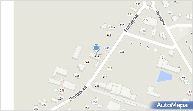 Poznań, Starołęcka, 242, mapa Poznania