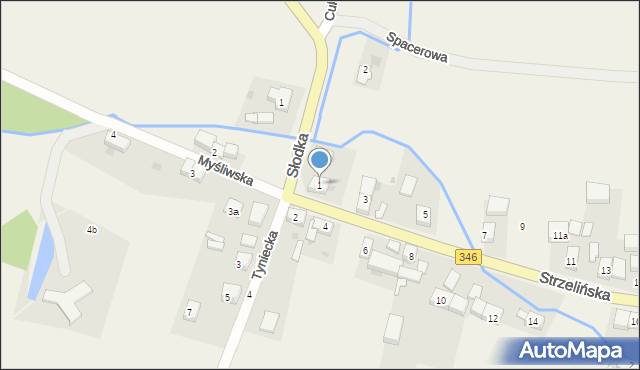 Przecławice, Strzelińska, 1, mapa Przecławice