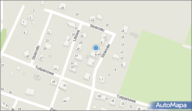 Siedlce, Stokrotki, 5, mapa Siedlce