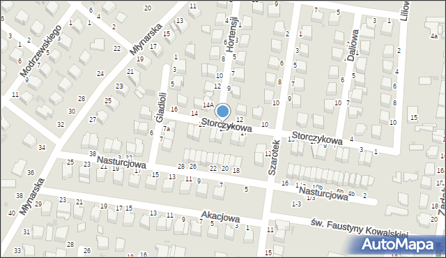 Skierniewice, Storczykowa, 21, mapa Skierniewic