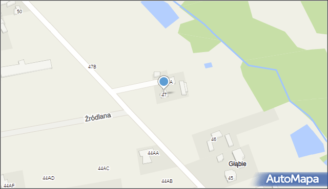 Stare Skoszewy, Stare Skoszewy, 47, mapa Stare Skoszewy