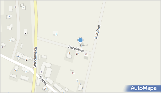 Stary Śleszów, Strzelińska, 9, mapa Stary Śleszów