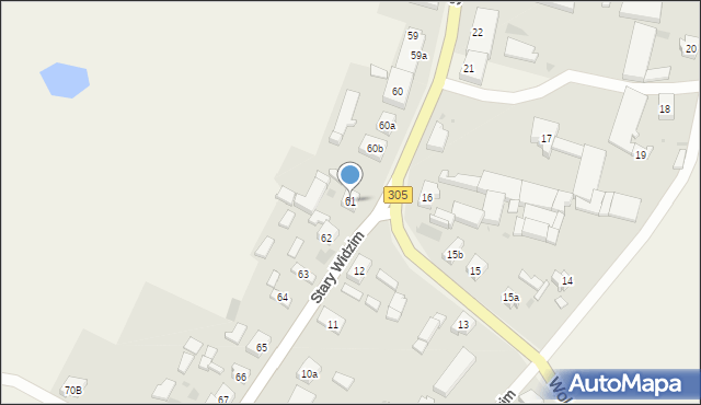 Stary Widzim, Stary Widzim, 61, mapa Stary Widzim