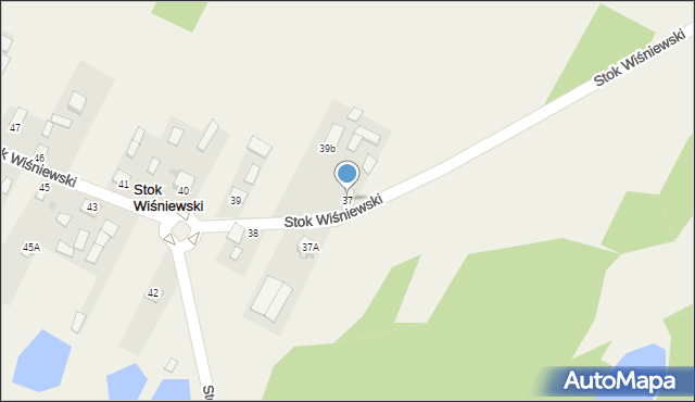 Stok Wiśniewski, Stok Wiśniewski, 37, mapa Stok Wiśniewski