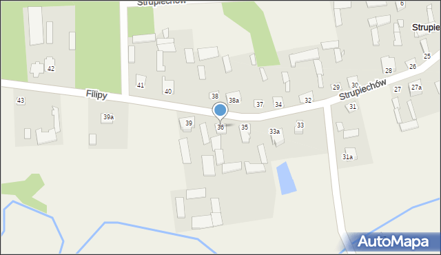 Strupiechów, Strupiechów, 36, mapa Strupiechów
