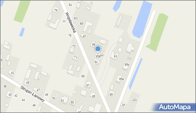 Strupin Duży, Strupin Duży, 91a, mapa Strupin Duży