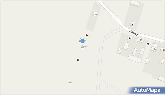 Strusy, Strusy, 63, mapa Strusy