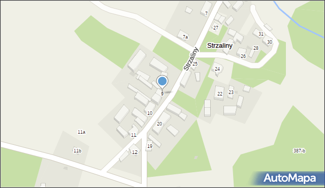 Strzaliny, Strzaliny, 9, mapa Strzaliny