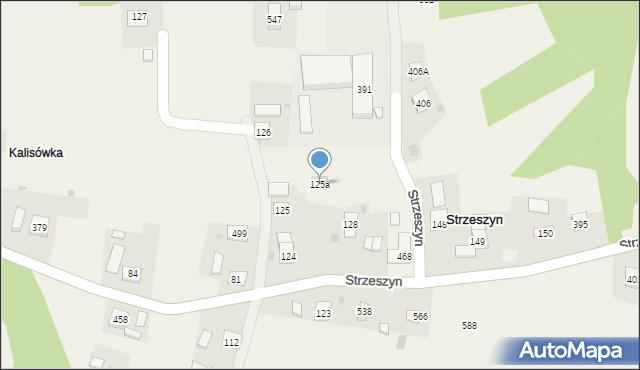 Strzeszyn, Strzeszyn, 125a, mapa Strzeszyn