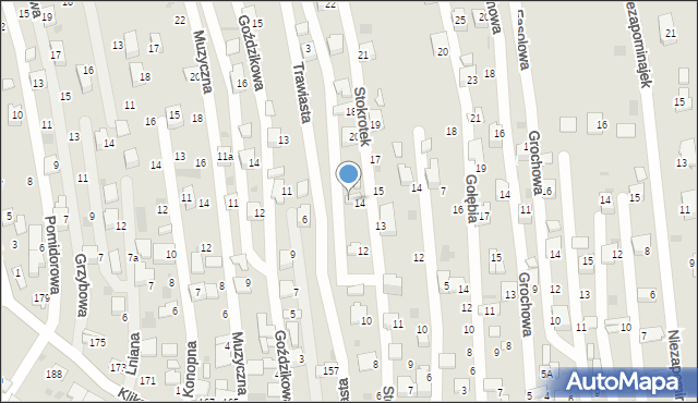 Tarnów, Stokrotek, 16, mapa Tarnów