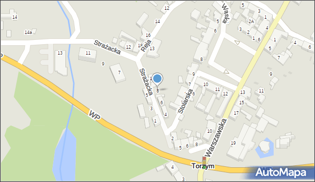 Torzym, Strażacka, 8, mapa Torzym