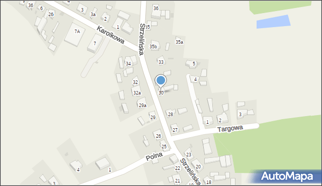 Wilczyn, Strzelińska, 30, mapa Wilczyn