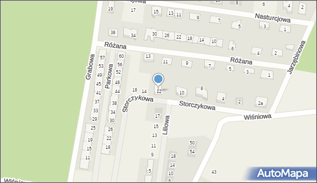 Wilkszyn, Storczykowa, 12, mapa Wilkszyn