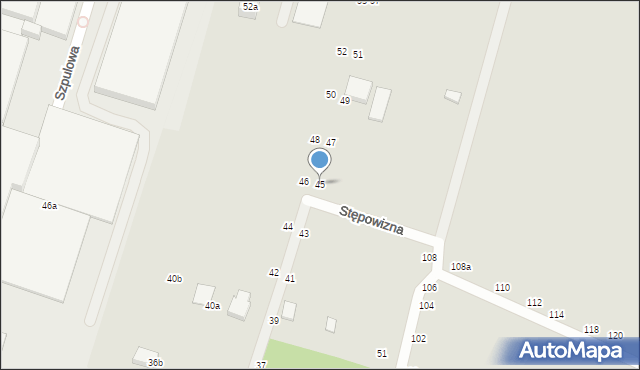 Zgierz, Stępowizna, 45, mapa Zgierz